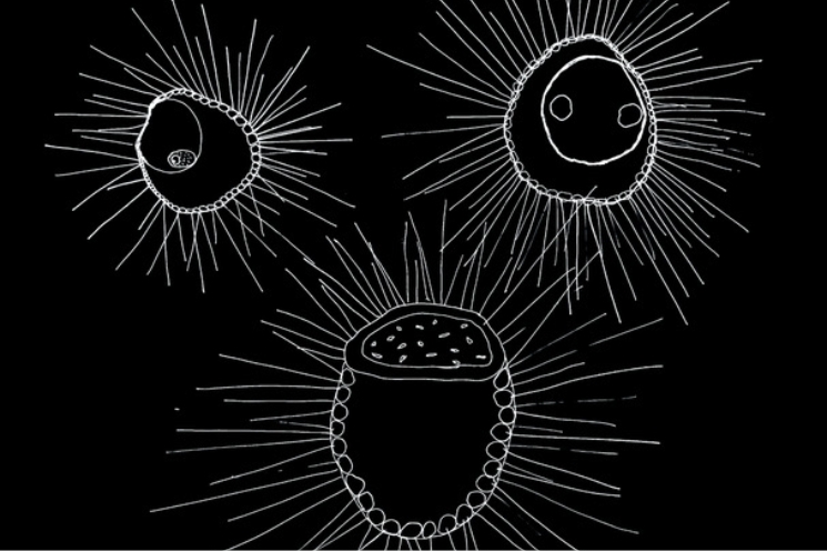 Christine Mackey open studio