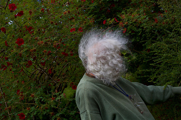 Passing David Stephenson For the Exhibition Meantime Web Banenr 745 x 496