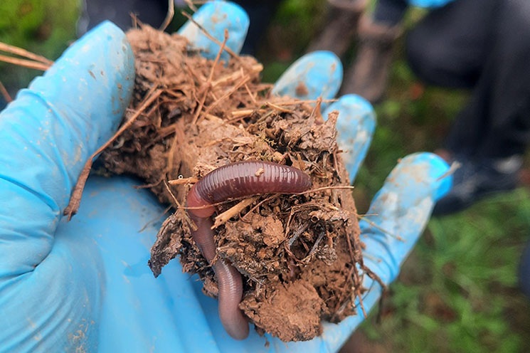 Soil Rise workshop