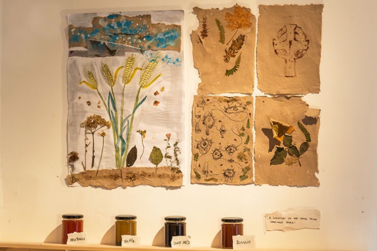 Yeah Ecology Art September 13th workshop