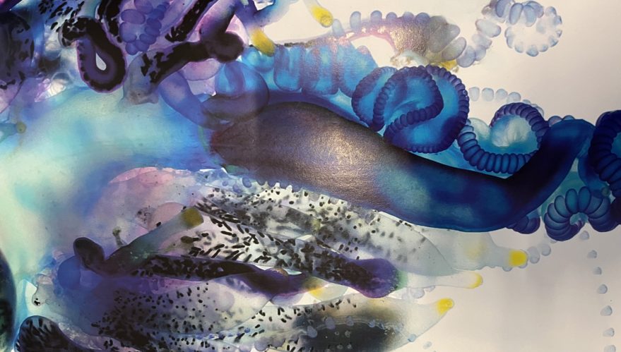 Youth Ecology Art 2026