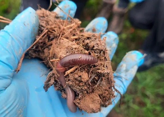 Soil Rise workshop