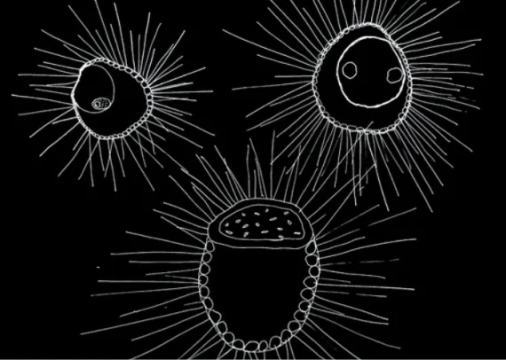 Christine Mackey open studio