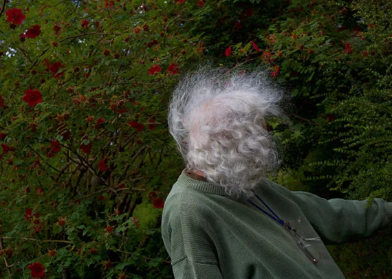 Passing David Stephenson For the Exhibition Meantime Web Banenr 745 x 496