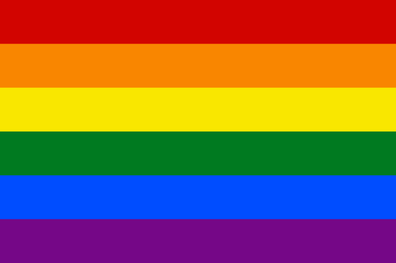 Gay Pride Flag Banner