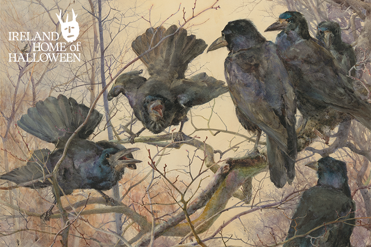 V2 Ravens Red Wine Sip n Sketch 2025 Website Banner 745x496