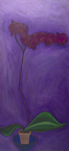 Pink Orchid in Blue Bowl by Jane O'Malley