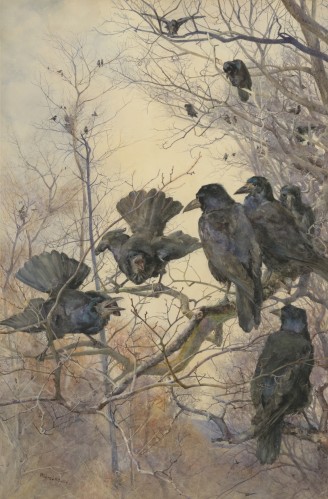 High Court of Justice by Mildred Anne Butler