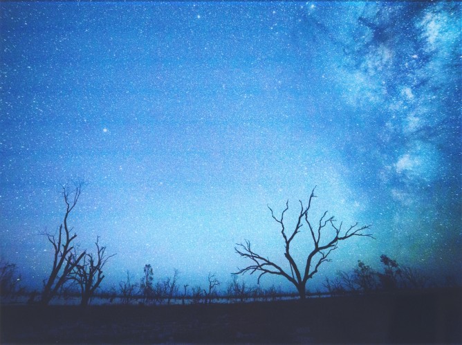 Talking Earth 5 by Amy Walsh