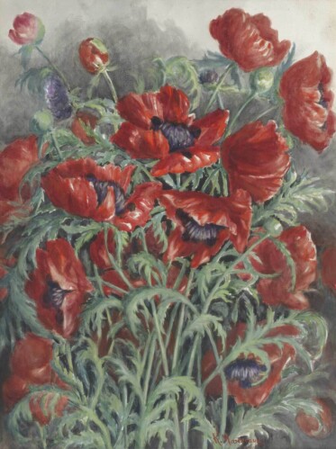 Giant Poppies by Kathleen Marescaux