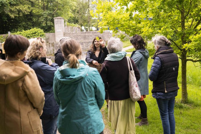 Thesoilproject bgwebsite 4