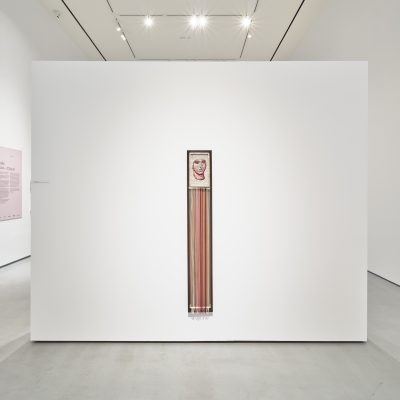 Siren, Ursula Burke, Installation View, Photo Credit: Ros Kavanagh