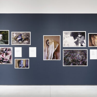 Meantime, David Stephenson, Installation View, Photo Credit: Ros Kavanagh