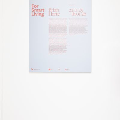 For Smart Living, Brian Harte, Installation View, Photo Credit: Ros Kavanagh