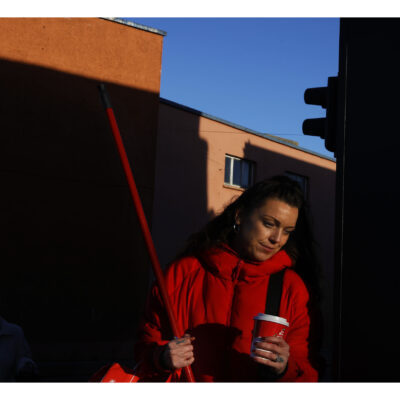 Checklist 7. Red Broom, 2024, David Stephenson, Meantime, David Stephenson