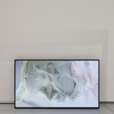 SA_FILM_GREEN_REV_, 2024, finding the most forgiving element, Helen Hughes, Installation View, Photo Credit: Ros Kavanagh