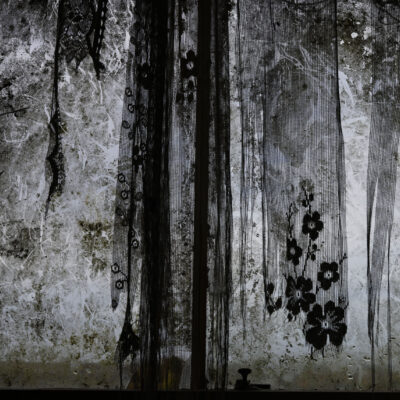 Checklist 21. Curtain, 2025, David Stephenson, Meantime, David Stephenson