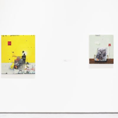 For Smart Living, Brian Harte, Installation View, Photo Credit: Ros Kavanagh