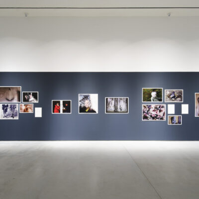 Meantime, David Stephenson, Installation View, Photo Credit: Ros Kavanagh
