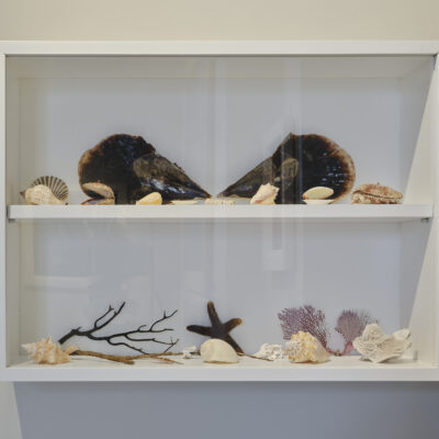 Tony & Jane O’Malley: The Shared Studio, Jane's Memento Boxes - Shells Found Ephemera, Installation View, Photo Credit: Ros Kavanagh