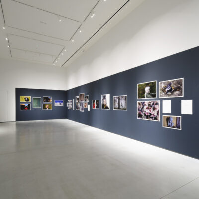 Meantime, David Stephenson, Installation View, Photo Credit: Ros Kavanagh