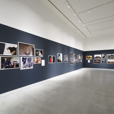 Meantime, David Stephenson, Installation View, Photo Credit: Ros Kavanagh
