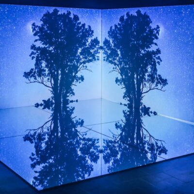 Amy Walsh, The Talking Earth, Installation View