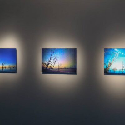 Amy Walsh, The Talking Earth, Installation View