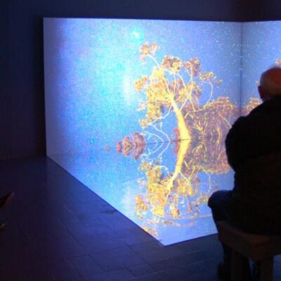 Amy Walsh, The Talking Earth, Installation View