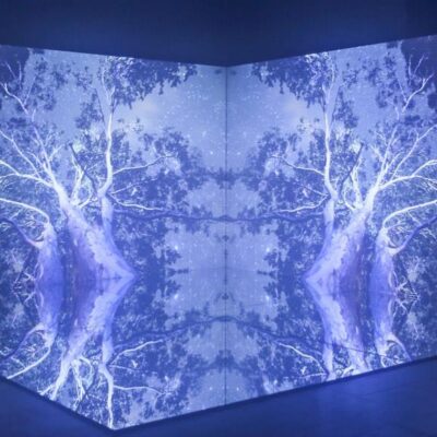 Amy Walsh, The Talking Earth, Installation View