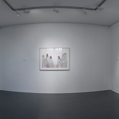 Amy Cutler: Installation View, Credit:  Photography Roland Paschhoff