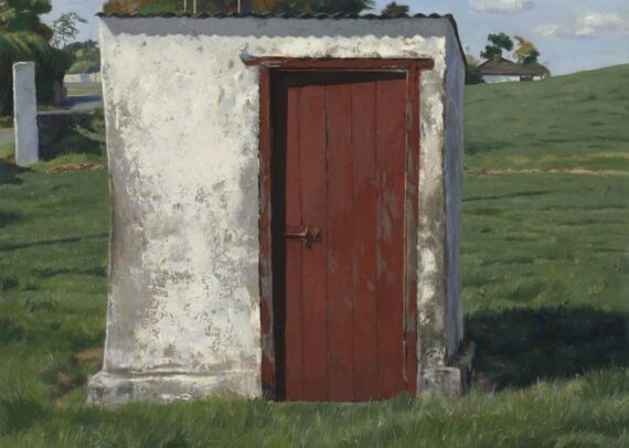 P 339 blaise smith outhouse white s farm sheestown bennetsbridge